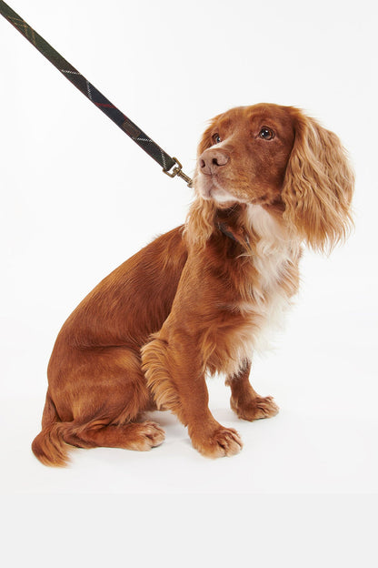 Tartan Dog Lead