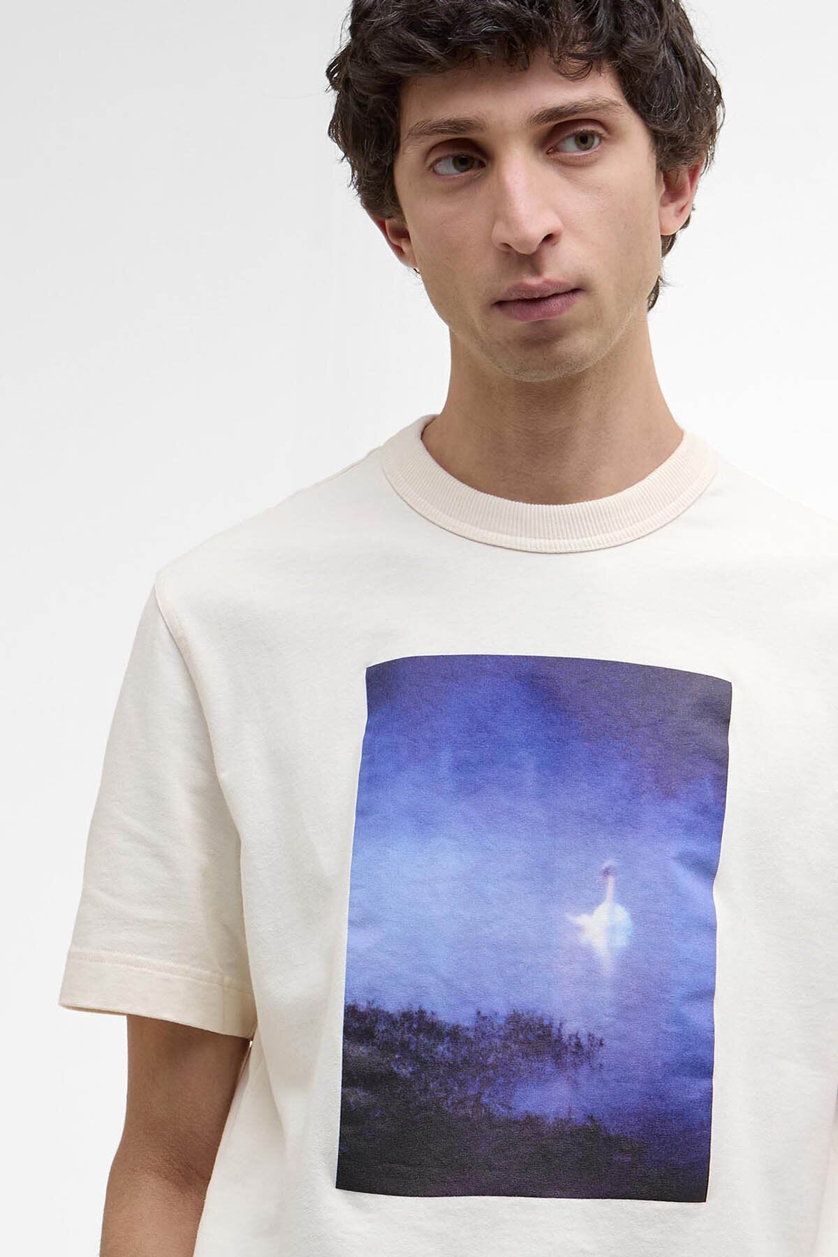 Archive Swan T-Shirt